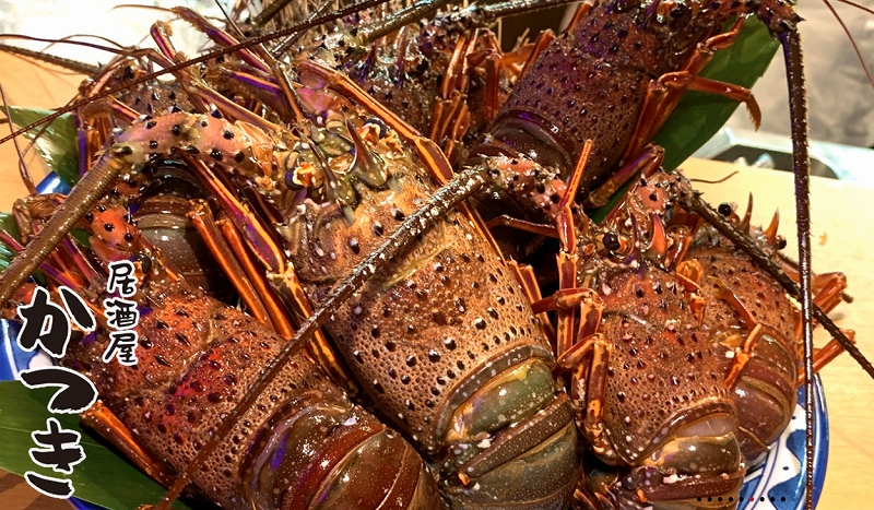 スクリーンショット 2025-12-16 113713